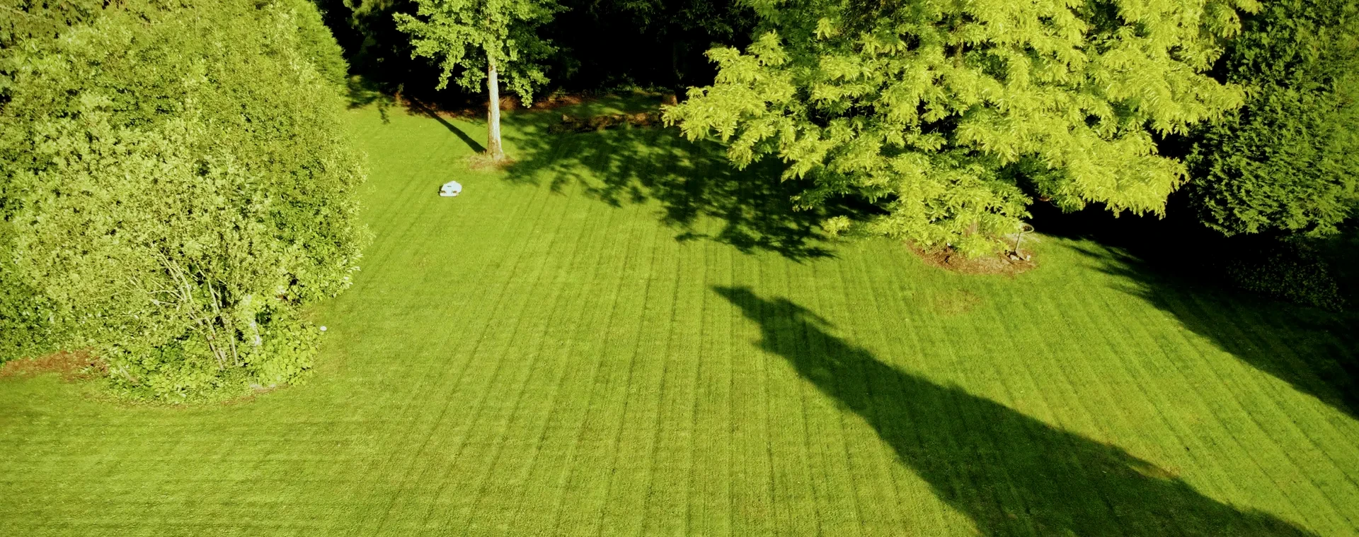 A consistently maintained community lawn