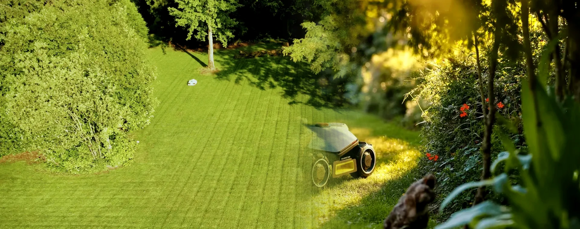 Professionally maintained Florida landscape